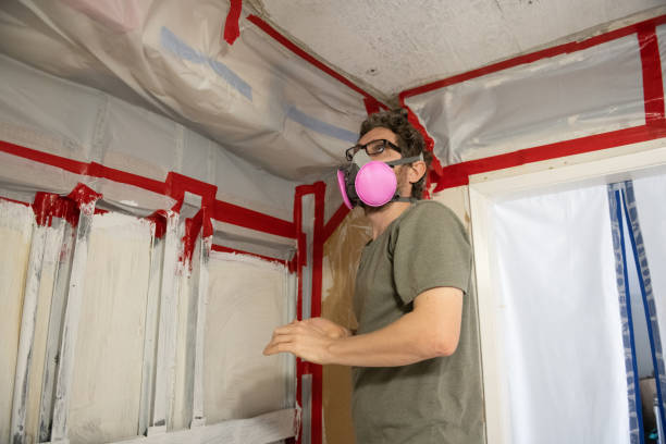 Environmental Consulting for Mold Prevention in Shorewood, WI